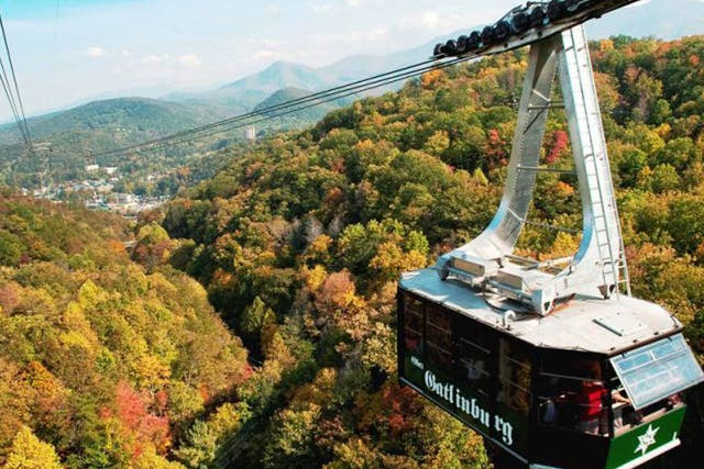 The view from a cable car in Great Smoky Mountains National Park, Tennessee