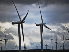 Read more

Wind power becomes the UK's cheapest source of electricity