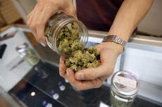 Oregon makes $11 million in first week of recreational pot sales