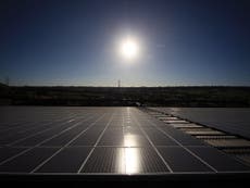 Failure of two solar energy firms blamed on Osborne's subsidy cuts