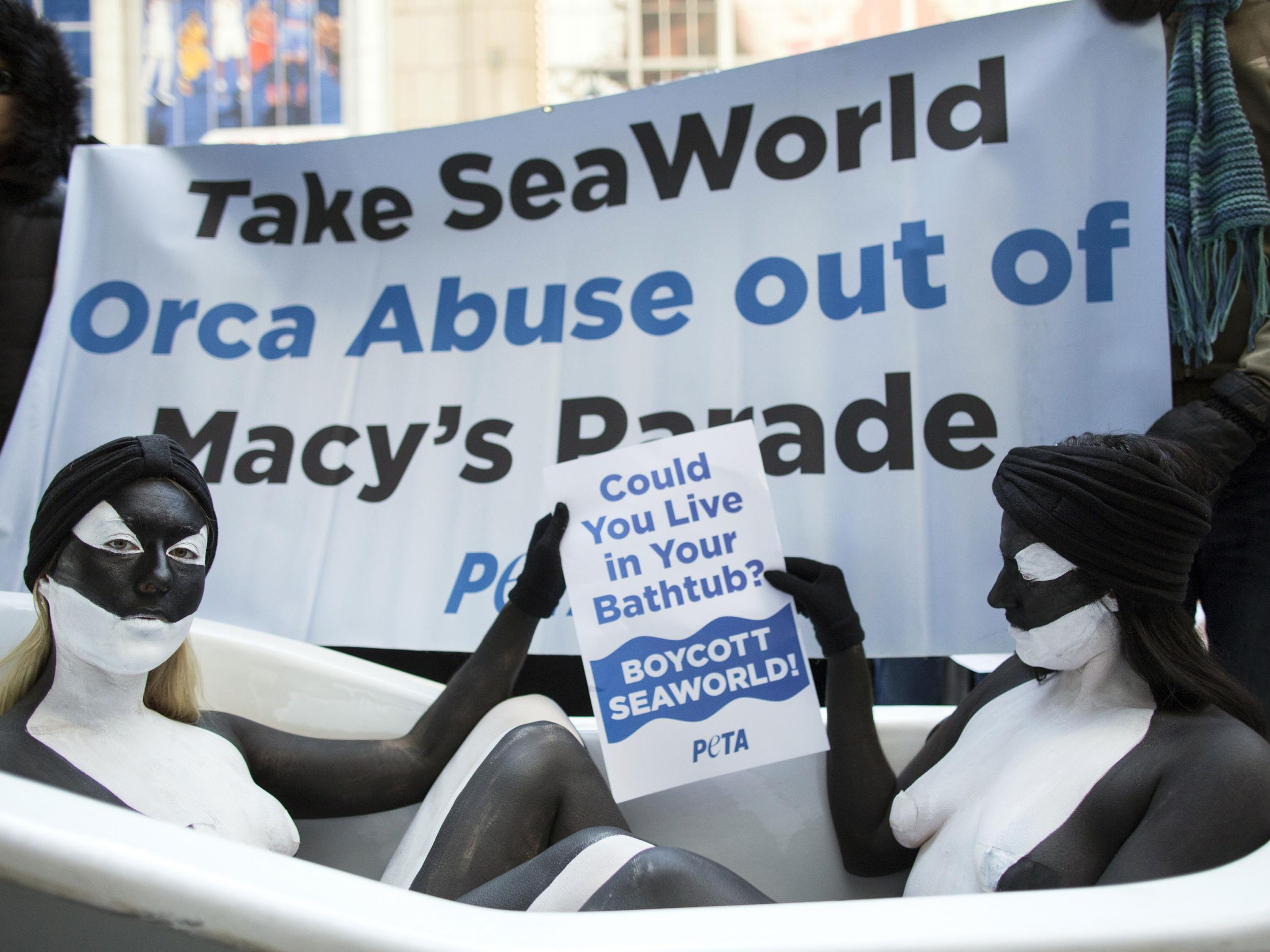 Naked women from the People for the Ethical Treatment of Animals (PETA) painted to resemble orca whales protest outside Macy's department store in New York, November 20, 2014