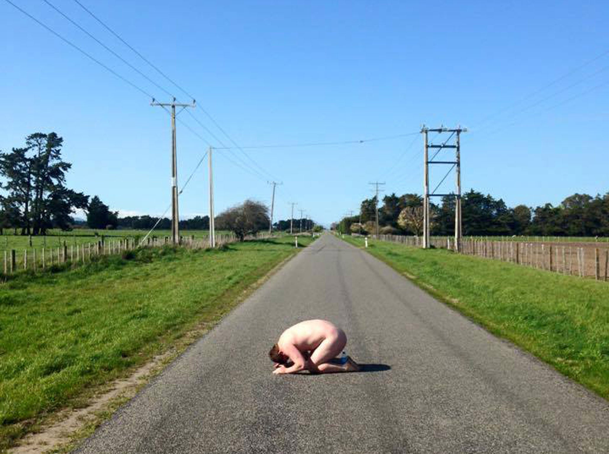 A frozen chook on a country road