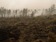 Drone footage shows huge damage caused by Indonesia’s forest fires