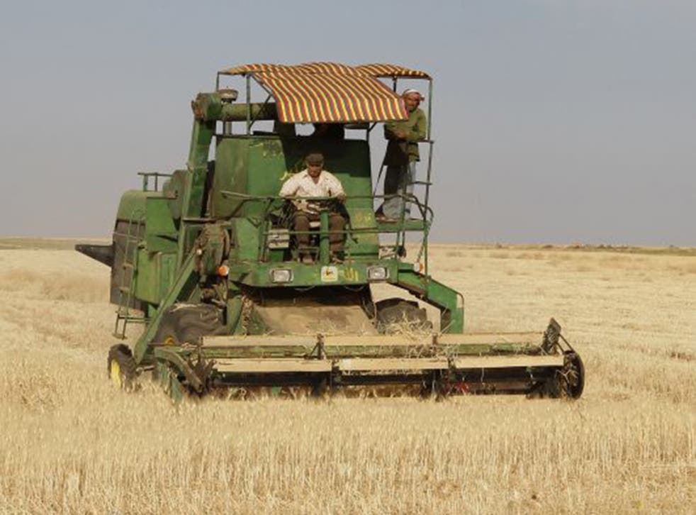 Syria’s future agriculture is under threat from the conflict