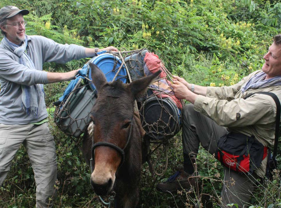 Hugh, left, Benedict Allen and their mule Washington navigate the challenging terrain of the cloud forest (Hugh Thomson)