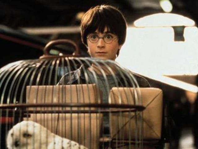 Many readers have grown up with JK Rowling's boy wizard Harry Potter