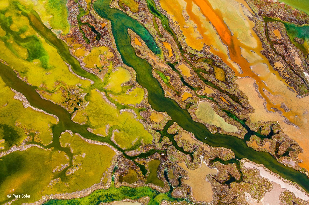 'The Art of Algae' by Pere Soler wins the From the Sky category