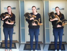 Couple posts image showing their dog's six-month growth spurt