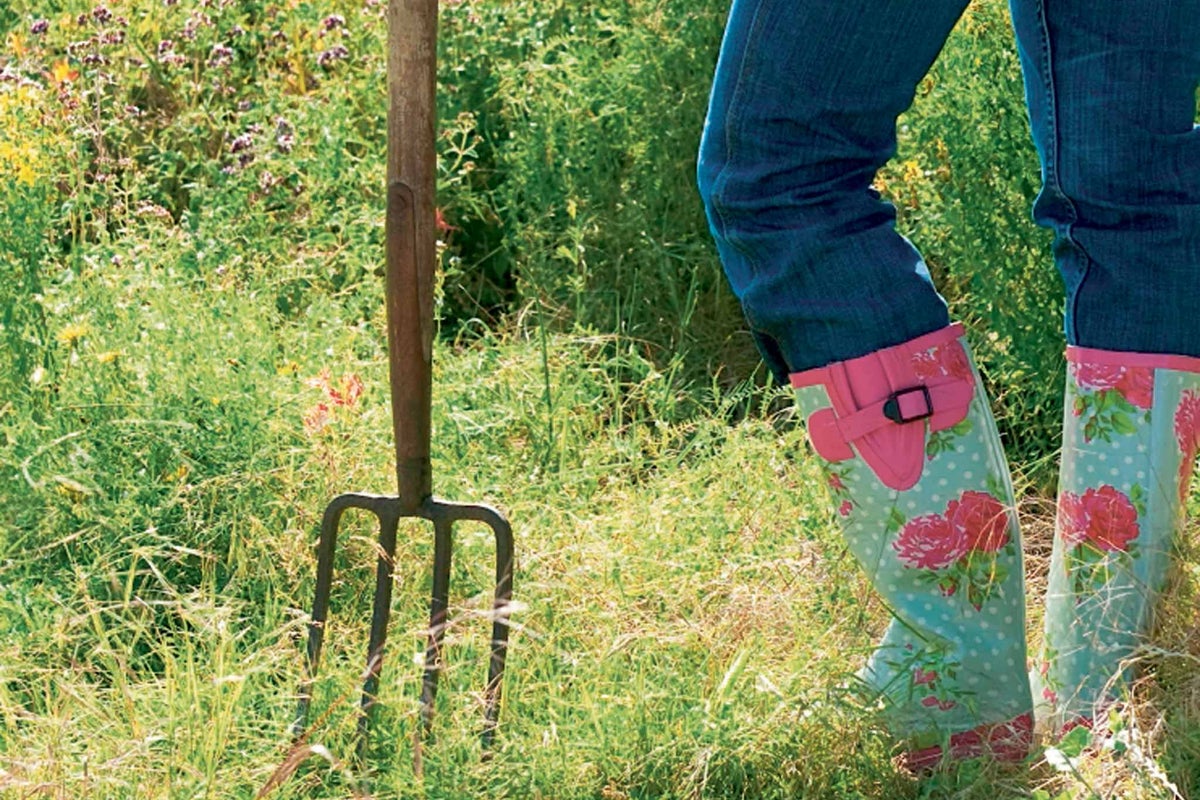 How to declutter your garden: Emma Townshend's tips on clearing out ...