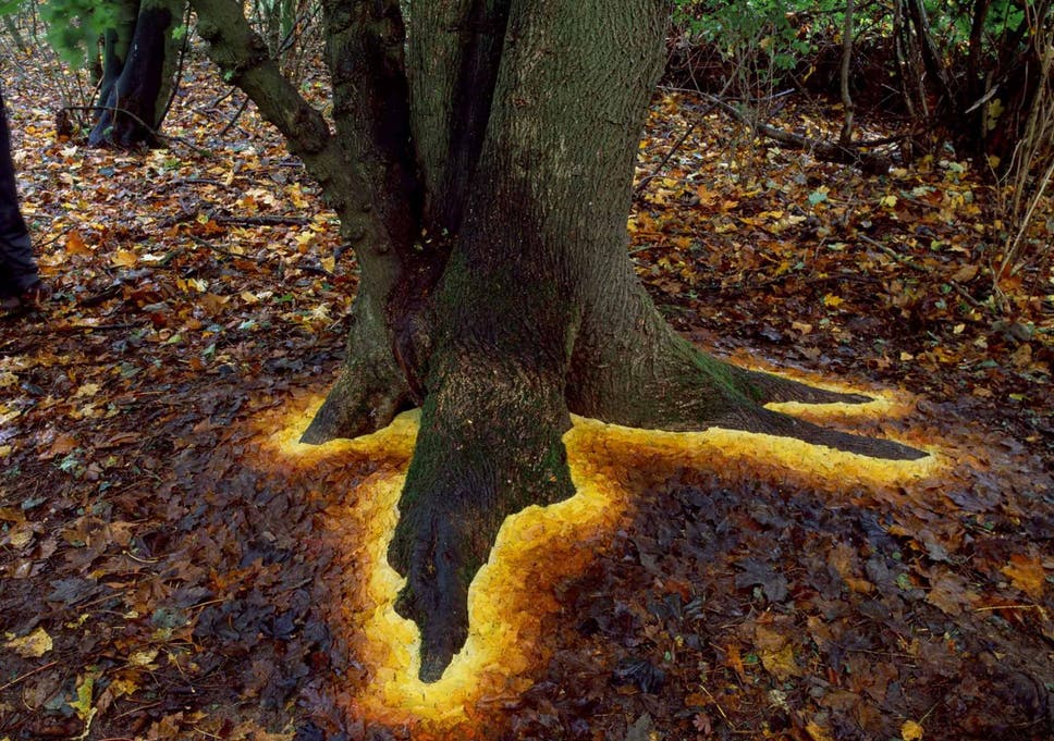 Andy Goldsworthy's Ephemeral Works: Artwork that is a testament to ...