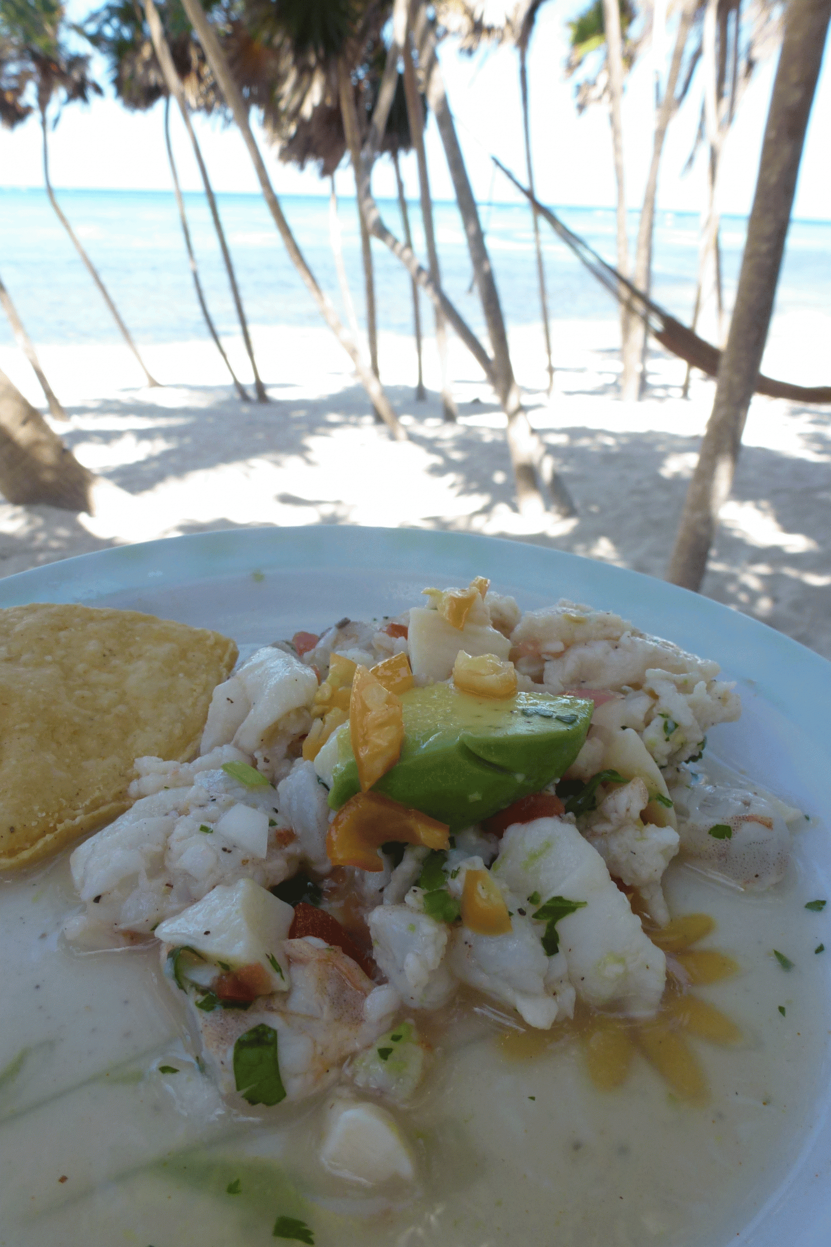 Ceviche served right on the beach by Chamico's