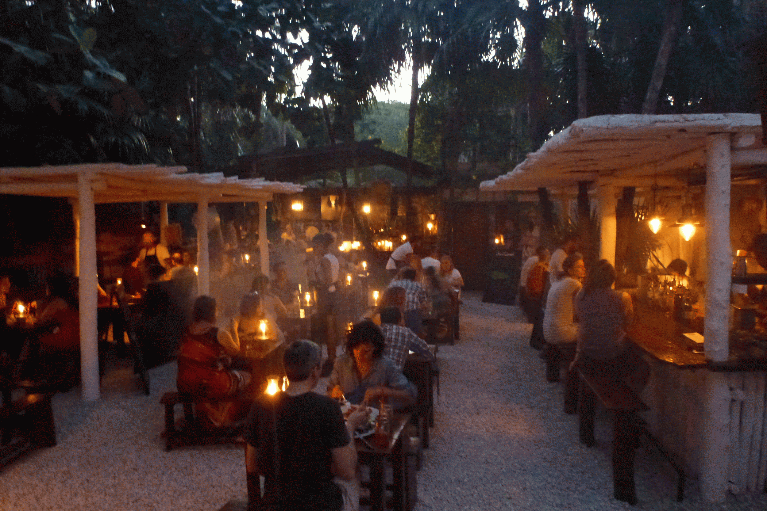 Hartwood restaurant