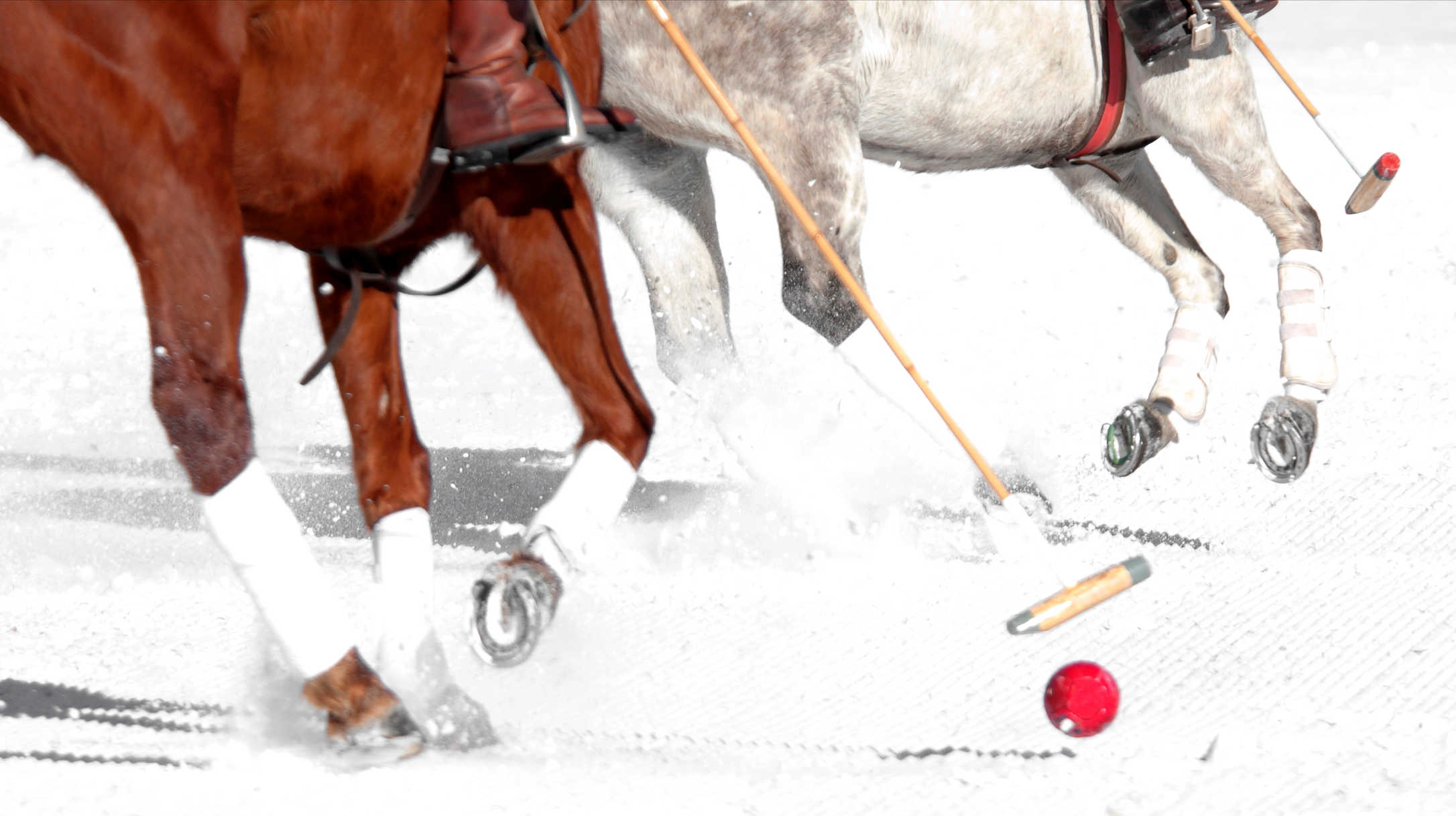 Snow Polo, Davos