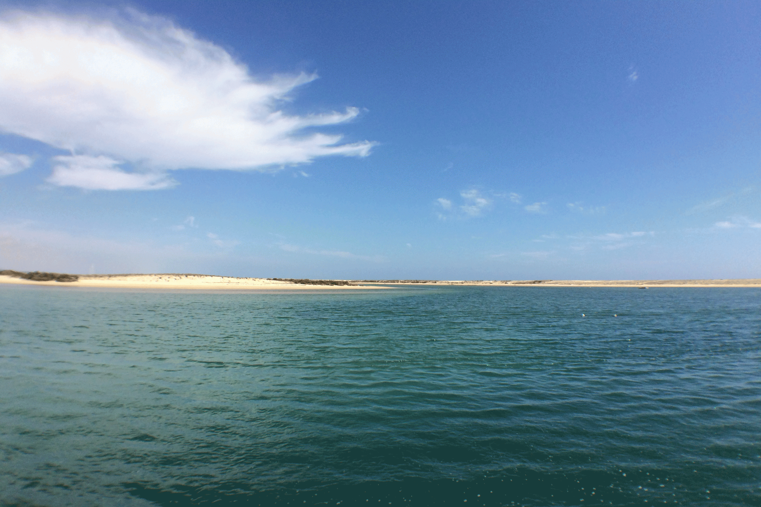 A boat trip across the Ria Formosa lagoon to Fuzeta beach
