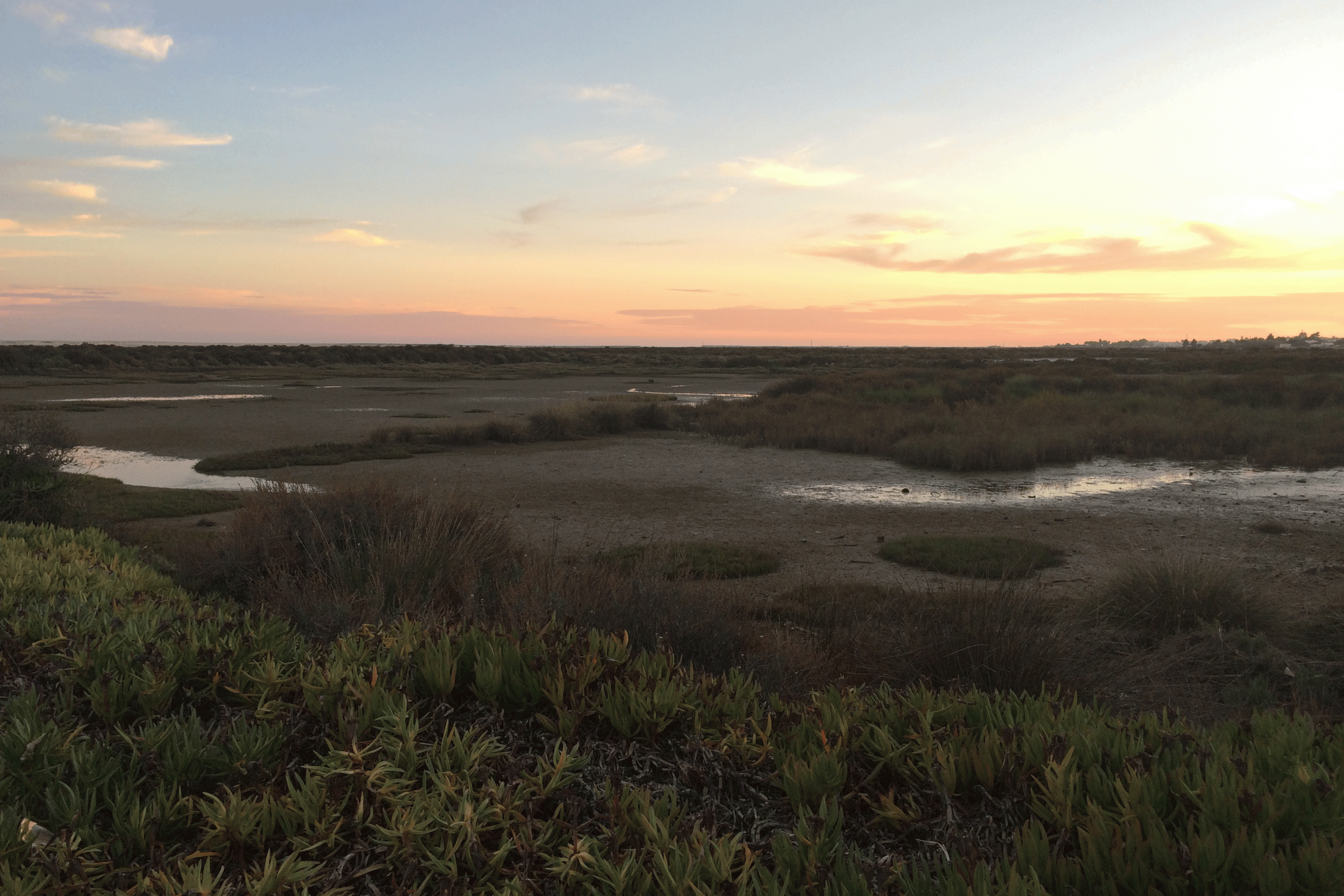 Ano turístico 2021 no Algarve no fio da navalha - Algfuturo