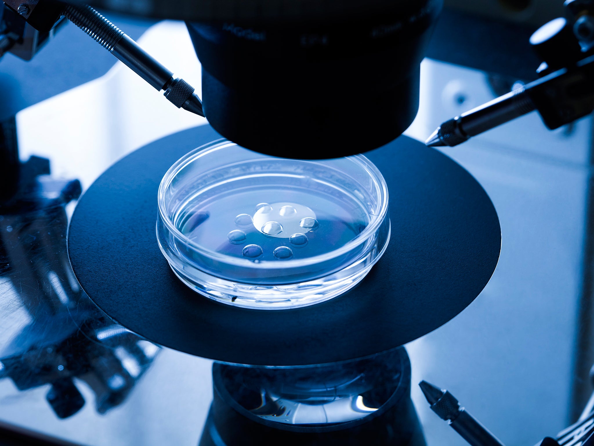 The research involves editing of the genes of day-old IVF embryos