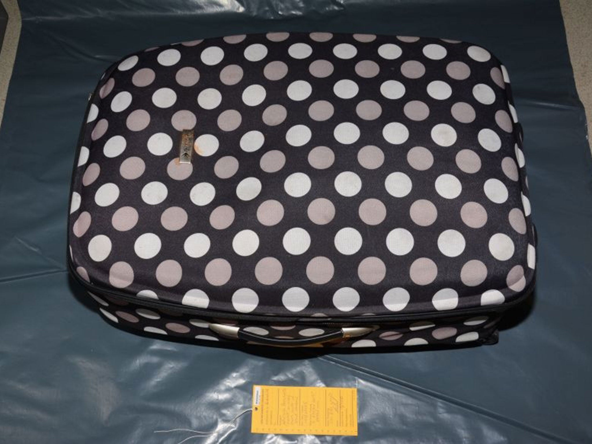 One of the suitcases used in the murder of Becky Watts, shown to the jury at Bristol Crown Court