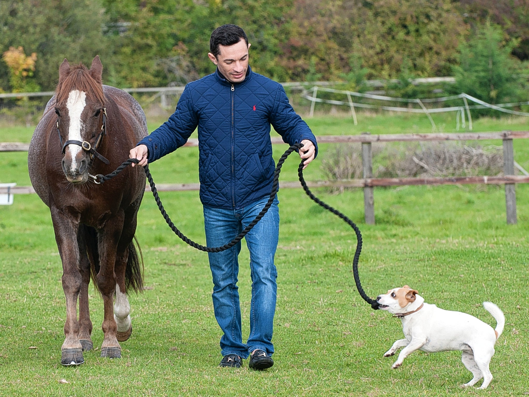 Jockey Silvestre de Sousa at home in Suffolk, with horse Leo and Lucy the terrier