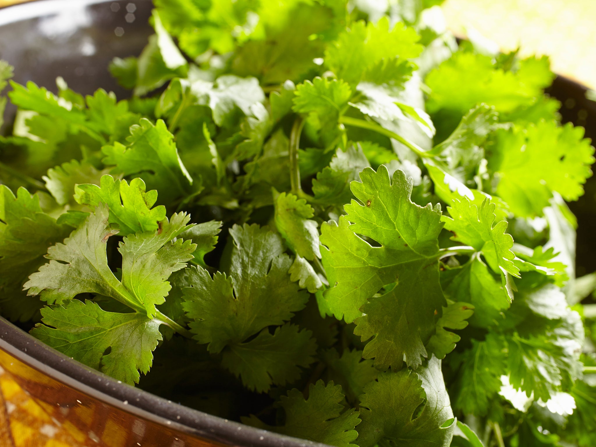 Most people find coriander to have an agreeable, citrus flavour, but to some its tastes like soap
