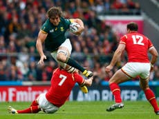 Five things we learned from the Springboks dramatic win over Wales