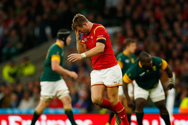 Wales fly-half Dan Biggar holds his head after being injured in a tackle