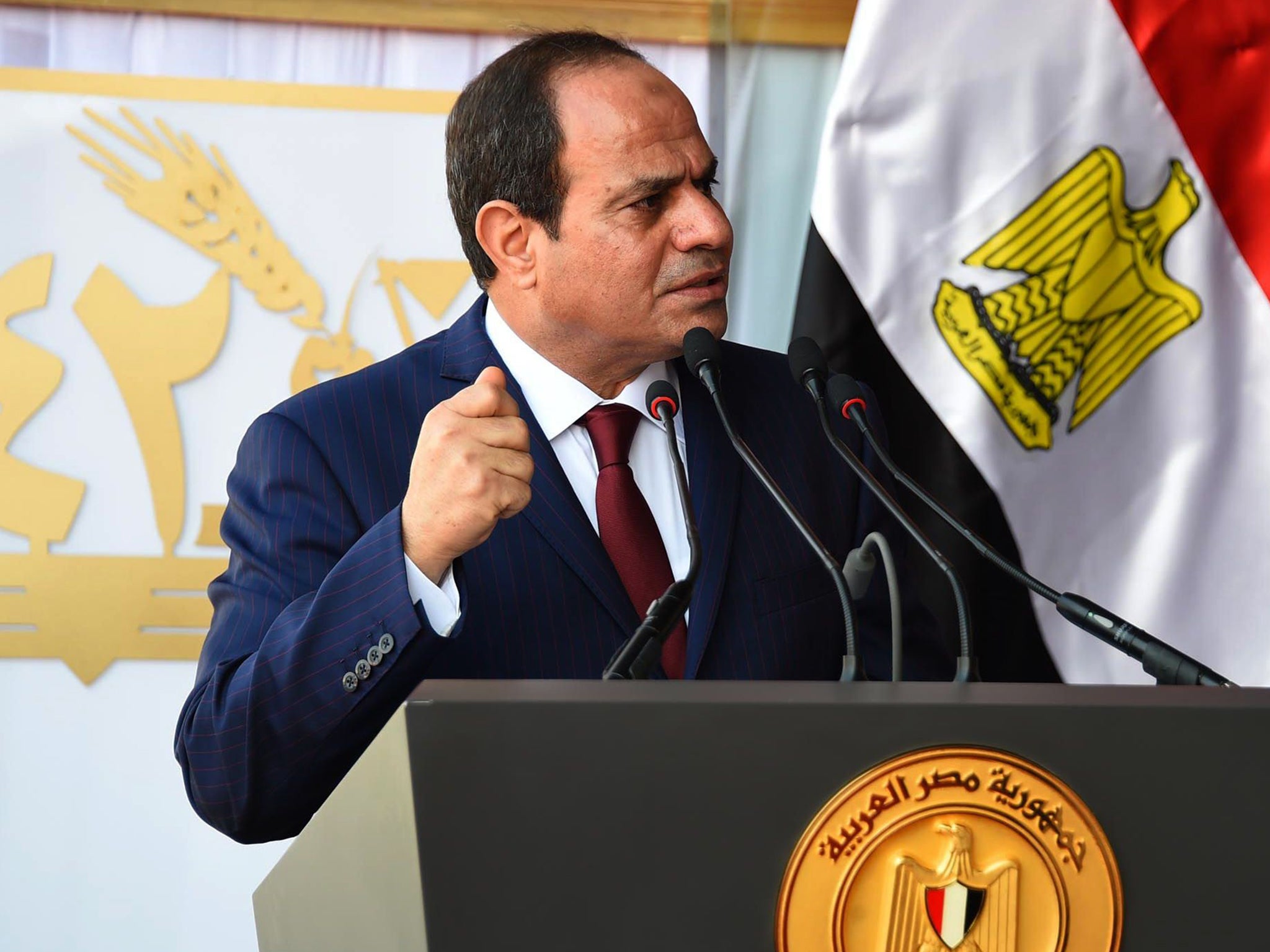 President Abdel Fattah al-Sisi came to power in June 2013 after ousting Mohammed Morsi