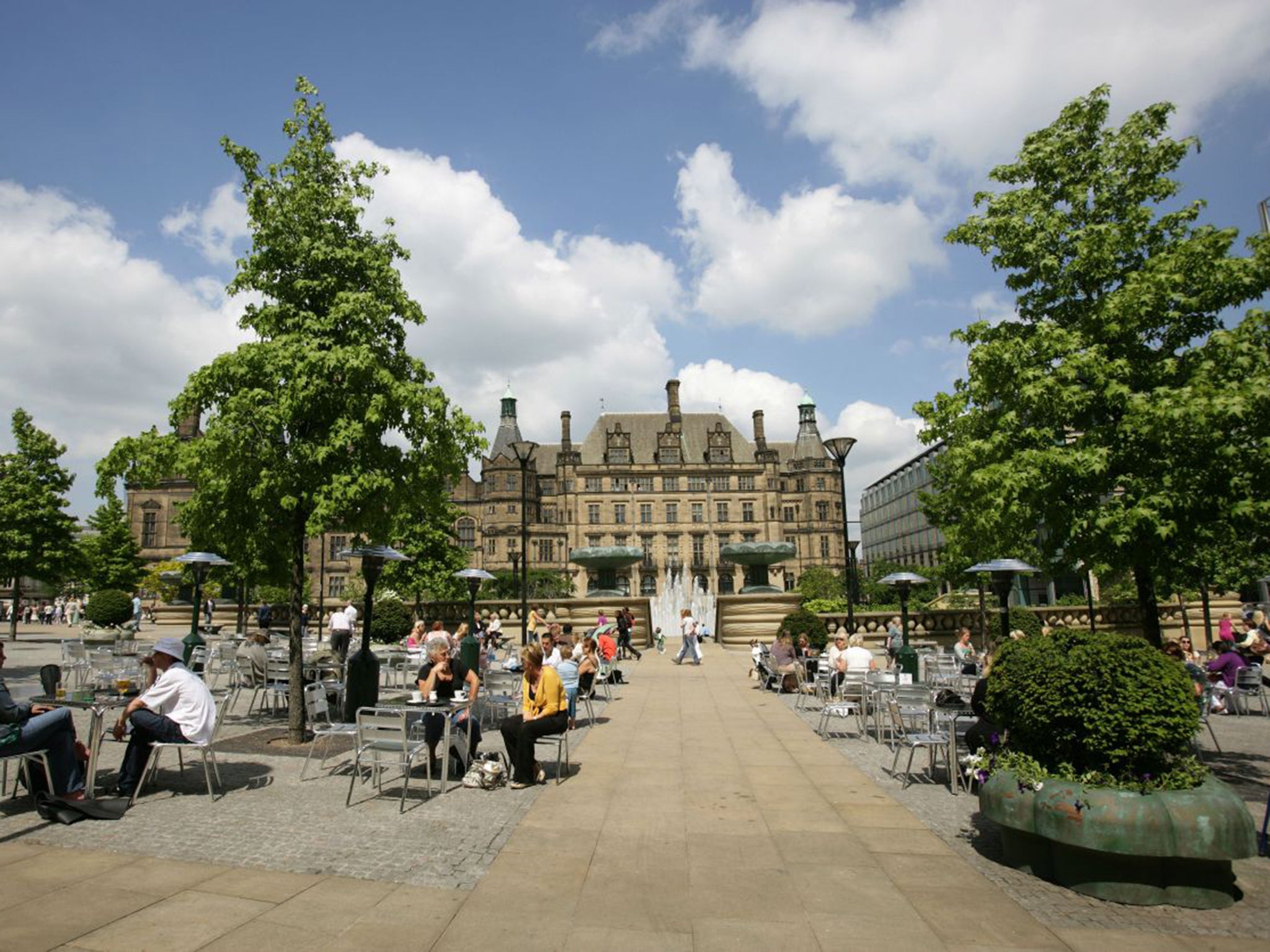 The city council claims many Sheffield trees are dead or dying