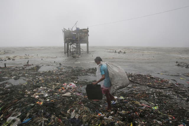 A Filipino man scavenges recyclable materials near a house on stilts stands by the bay amid strong winds and rains caused by Typhoon Koppu