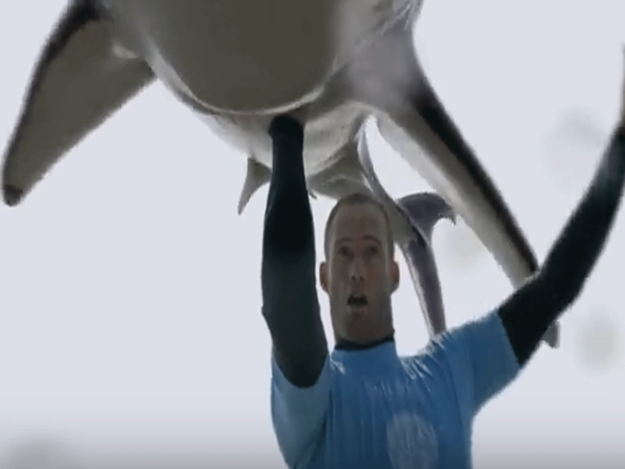 The Mike Fanning lookalike holds the computer-generated shark aloft as he rides a wave