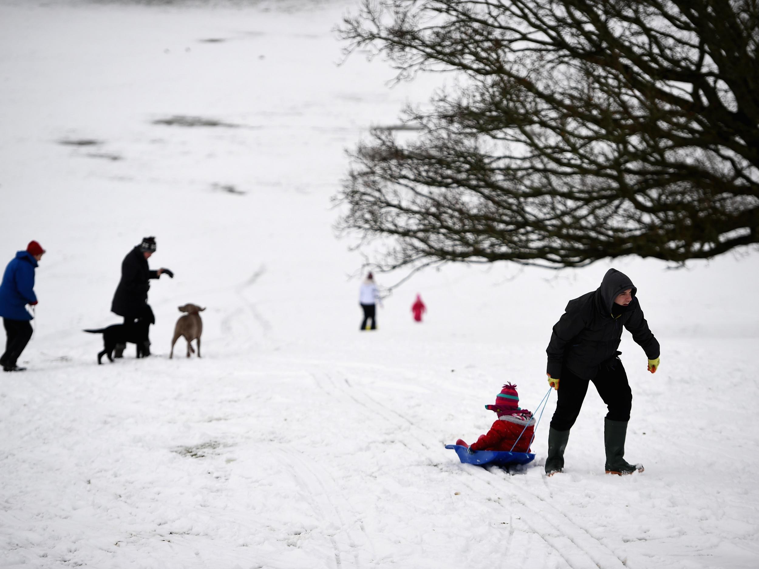 Bookies have slashed odds of the country experiencing a white Christmas and its coldest winter for five years