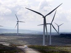 Hundreds of renewable energy firms 'could be forced out of business' 