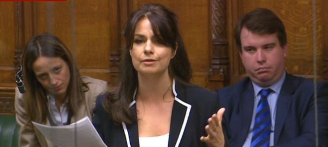 Heidi Allen, Tory MP for South Cambridgeshire, chose to use her maiden speech in the House of Commons to urge George Osborne to soften the impact of his tax credit cuts