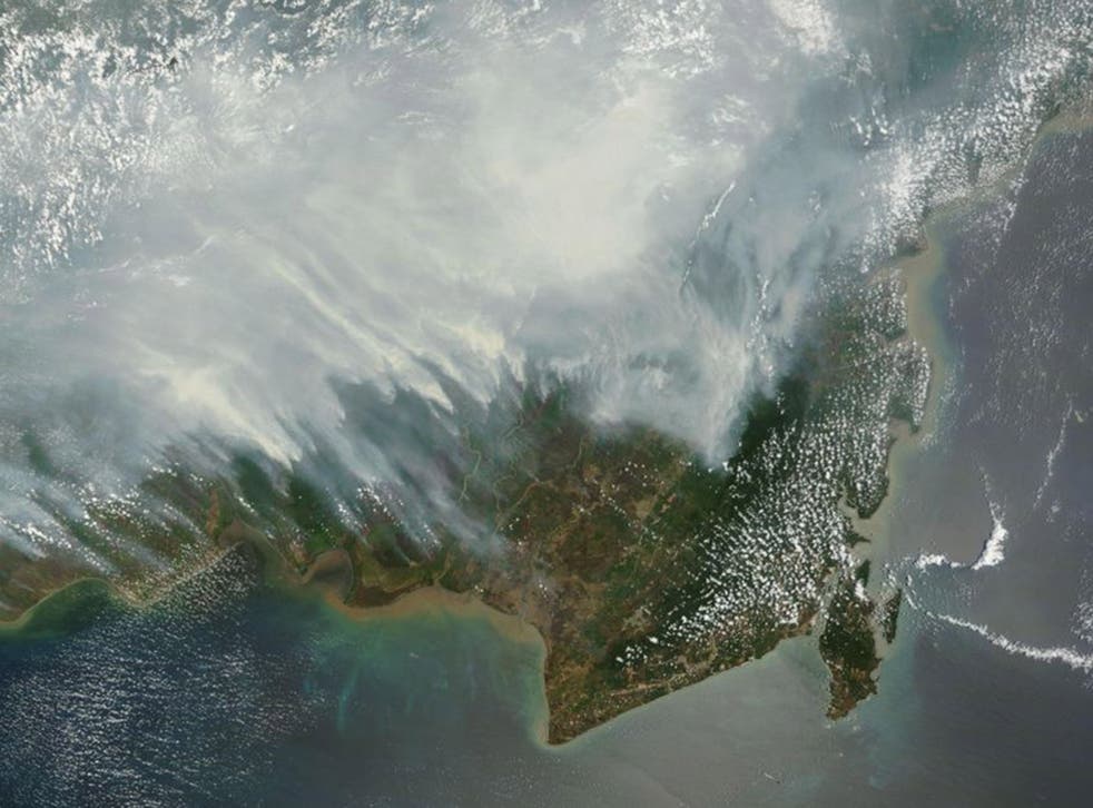 Nasa image from 14 October, which had the highest number of fires to date this year with 4,719. 