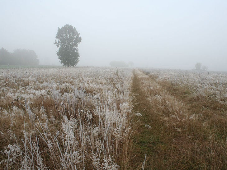 The UK could feel the chill this weekend. A meadow in London was covered in frost earlier this month