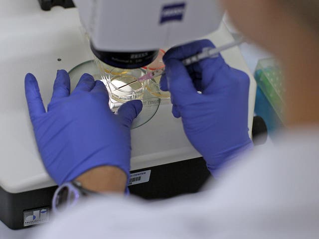 The technique involves the use of stem cells. File photo