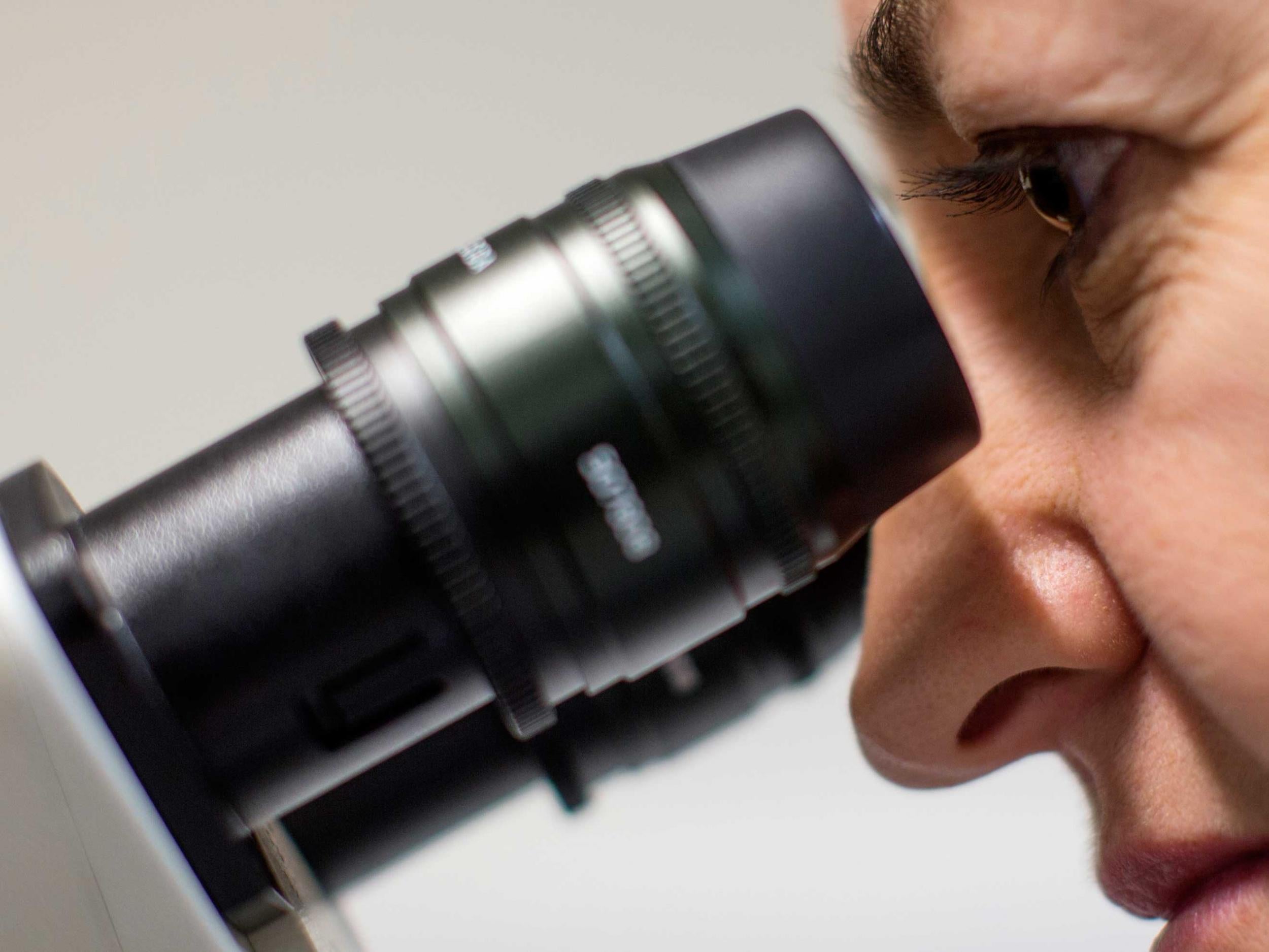 A scientist uses a microscope to examine cells