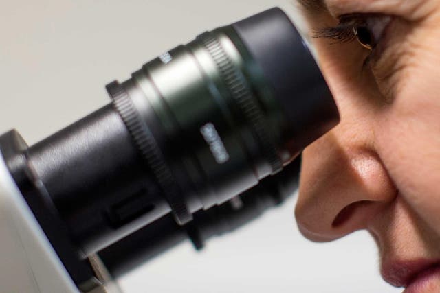 A scientist uses a microscope to examine cells