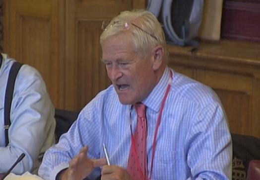 Lord Butler at a parliamentary committee earlier this year