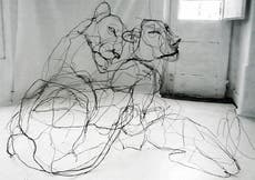 Portuguese artist makes wire animal sculptures that look like sketches