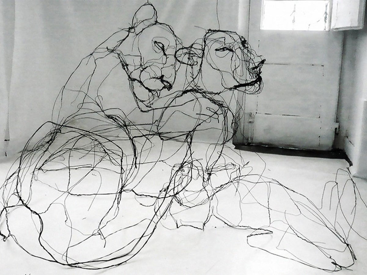 Portuguese artist makes wire animal sculptures that look just like sketches, The Independent