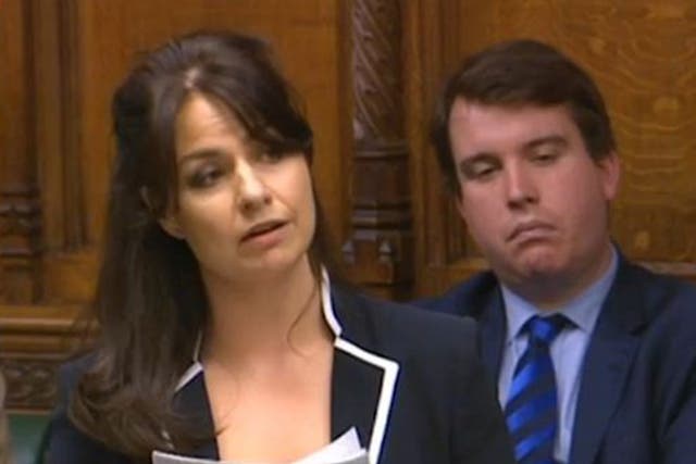 Heidi Allen delivers her maiden speech in the Commons