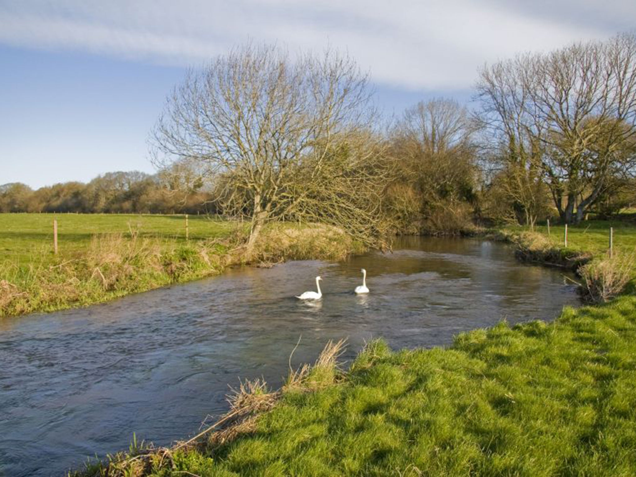 In rural south Dorset, three quarry sites have been proposed