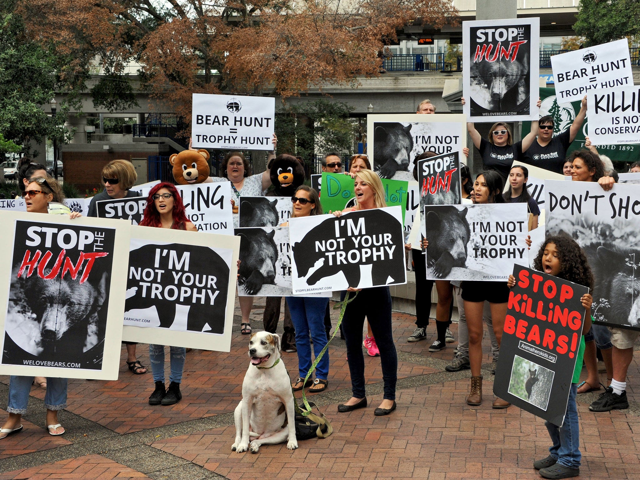 Stop the Florida Bear Hunt campaigners stage a protest in Jacksonville ahead of the state’s first hunt since 1994