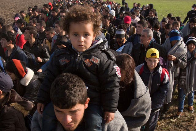 Refugees walk through fields in Romania after crossing from Croatia