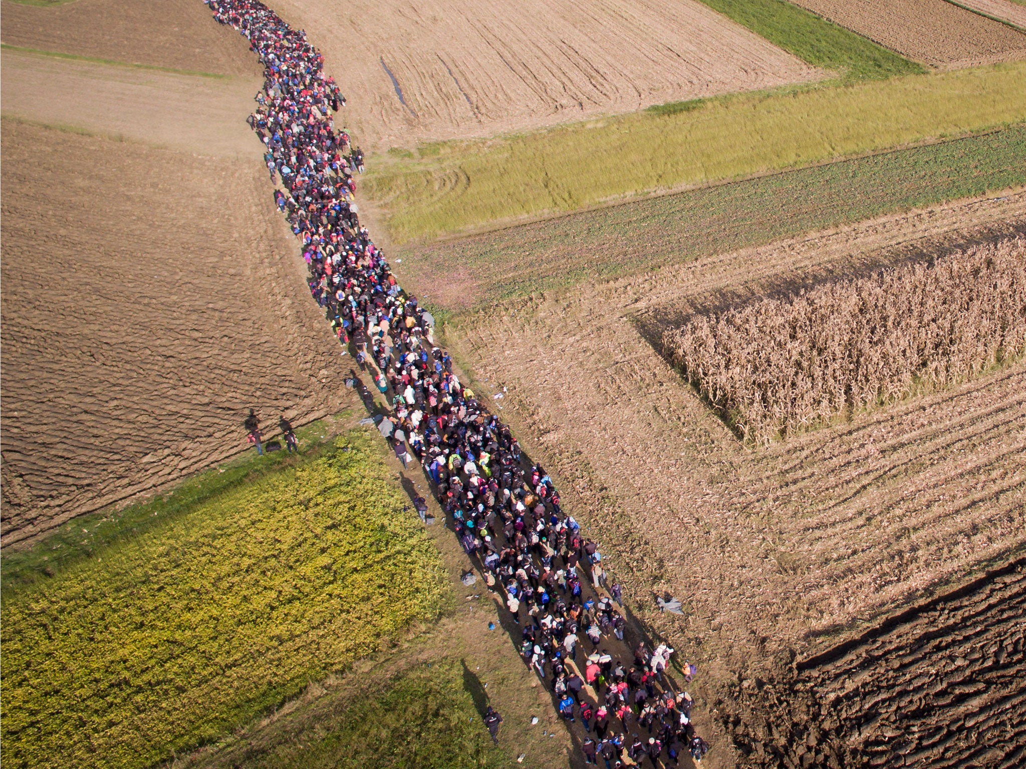 Refugees walk through fields in Romania after crossing from Croatia