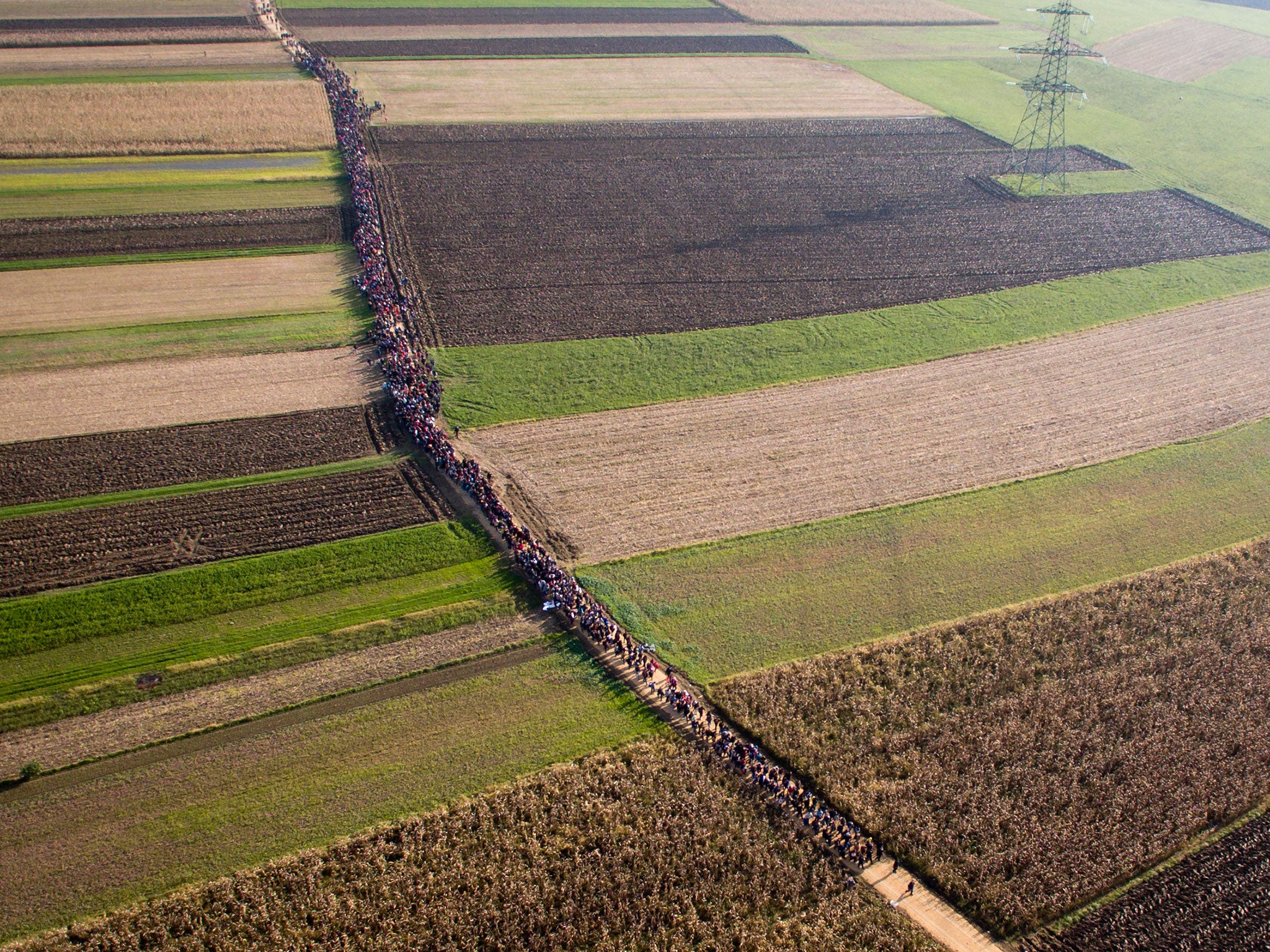 Refugees walk through fields in Romania after crossing from Croatia