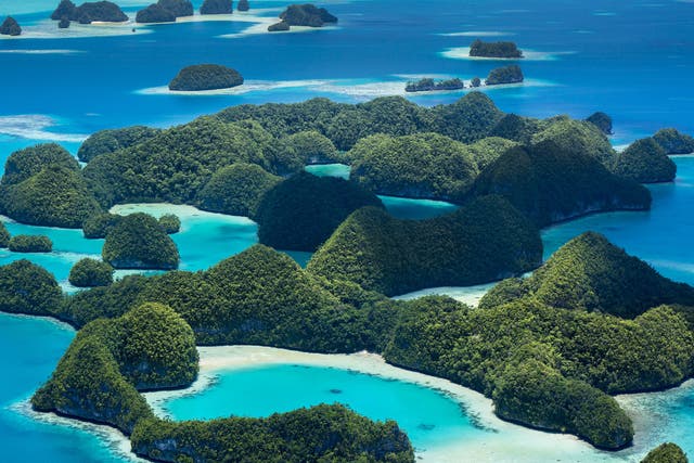Palau is a collection of around 250 islands located in the Pacific