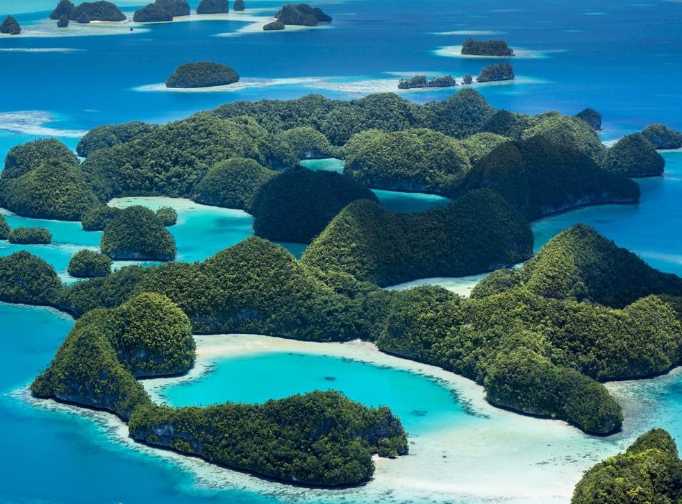 Palau is a collection of around 250 islands located in the Pacific