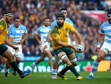 Wallabies and All Blacks dominate team of the semi-finals