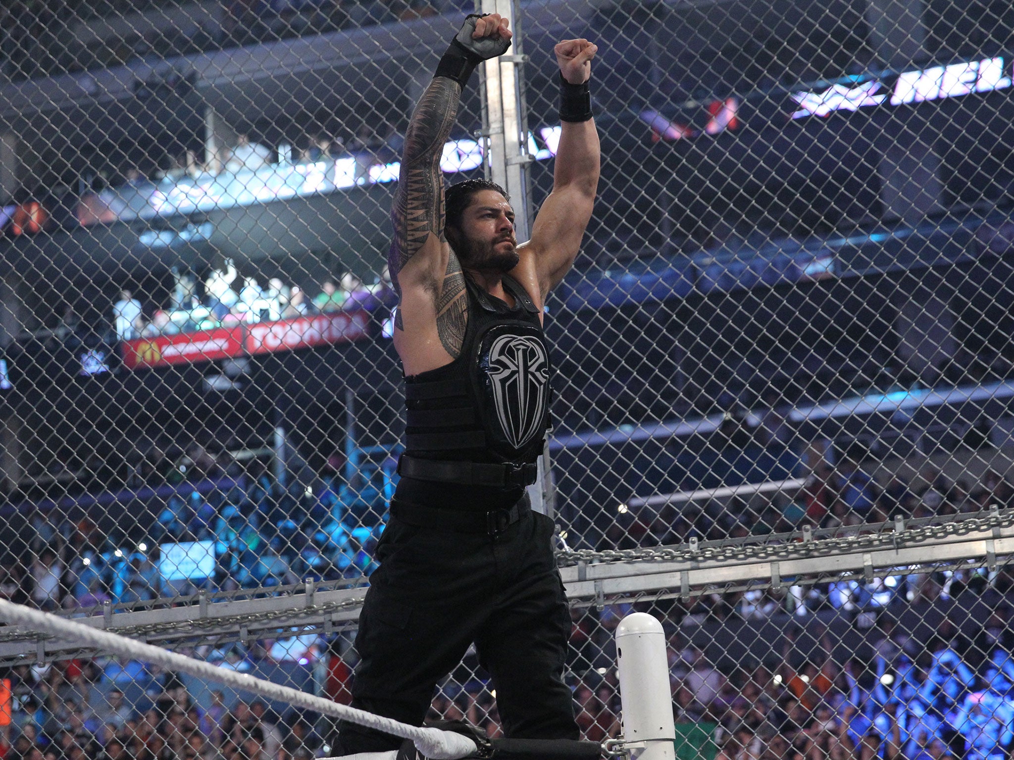 Roman Reigns celebrates his victory over Bray Wyatt